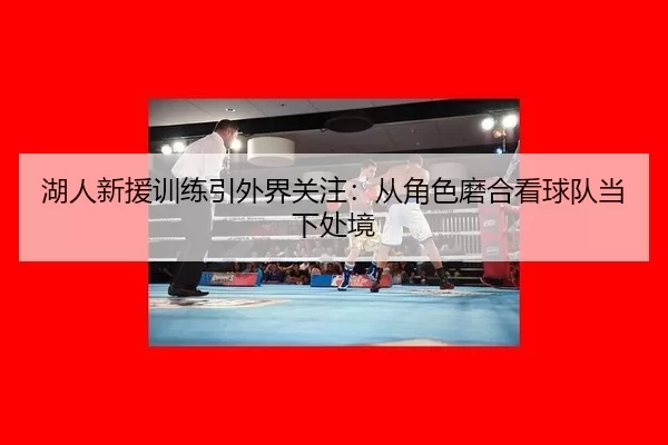 湖人新援训练引外界关注：从角色磨合看球队当下处境（hth）
